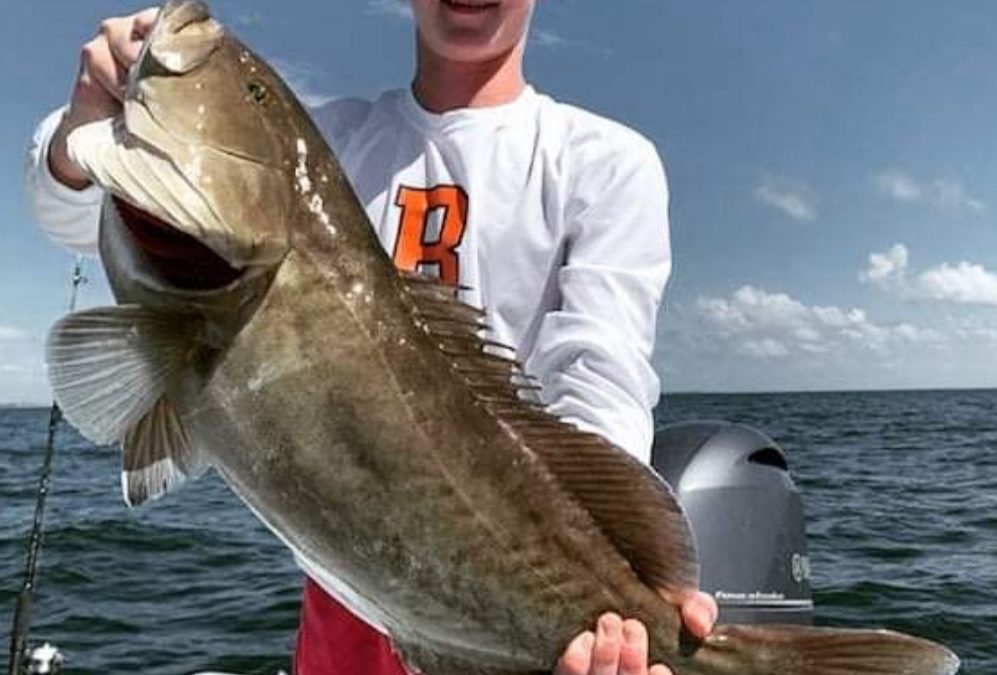 Anna Maria Island fishing Report – 9/1/2023